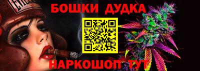 сатива Магадан